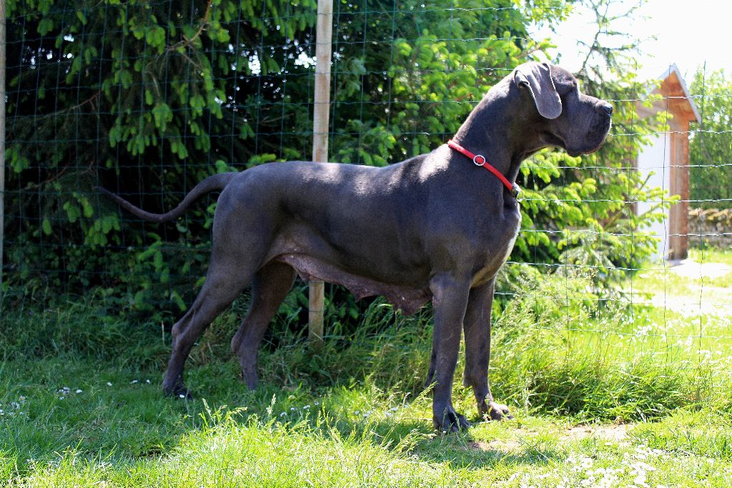 Haphrodite de La Prairie Des Fees