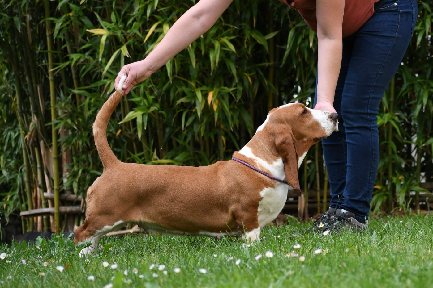 Sushi des Cotes de la Saunade